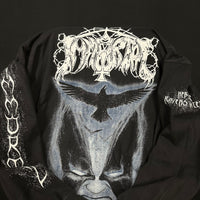 Vintage 1995 Immortal Nebular Ravens Longsleeve